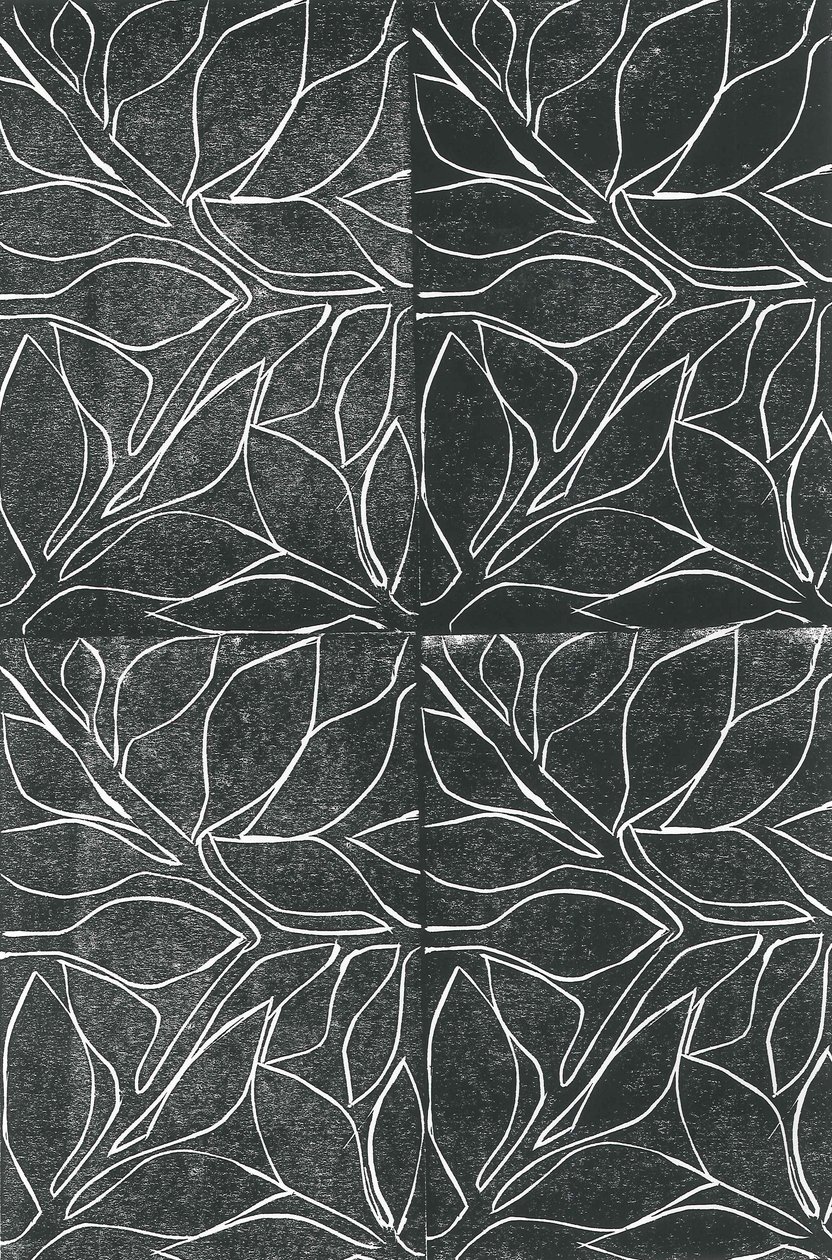 Vignes, 2015 - Stephen Dow
