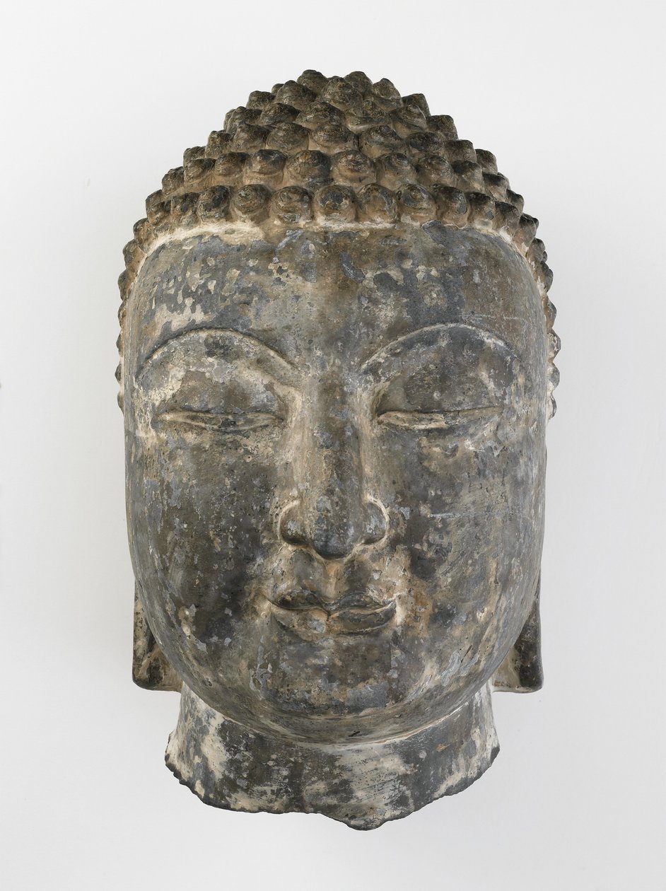 Tête colossale de Bouddha - Sui Dynasty Chinese School