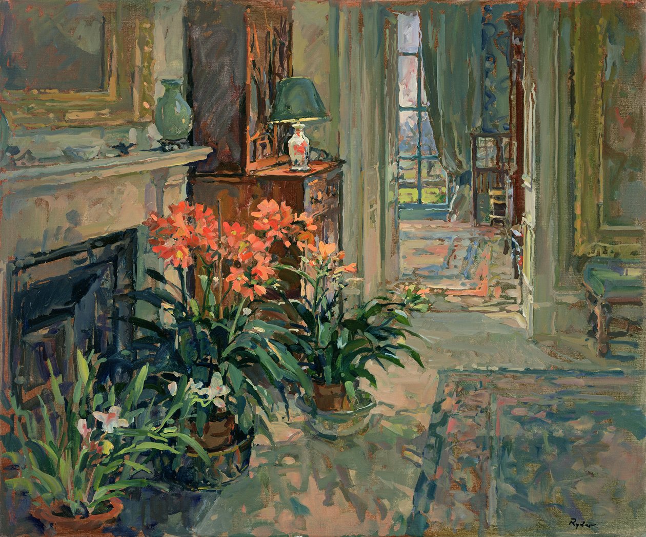 Clivia et Orchidée - Susan Ryder