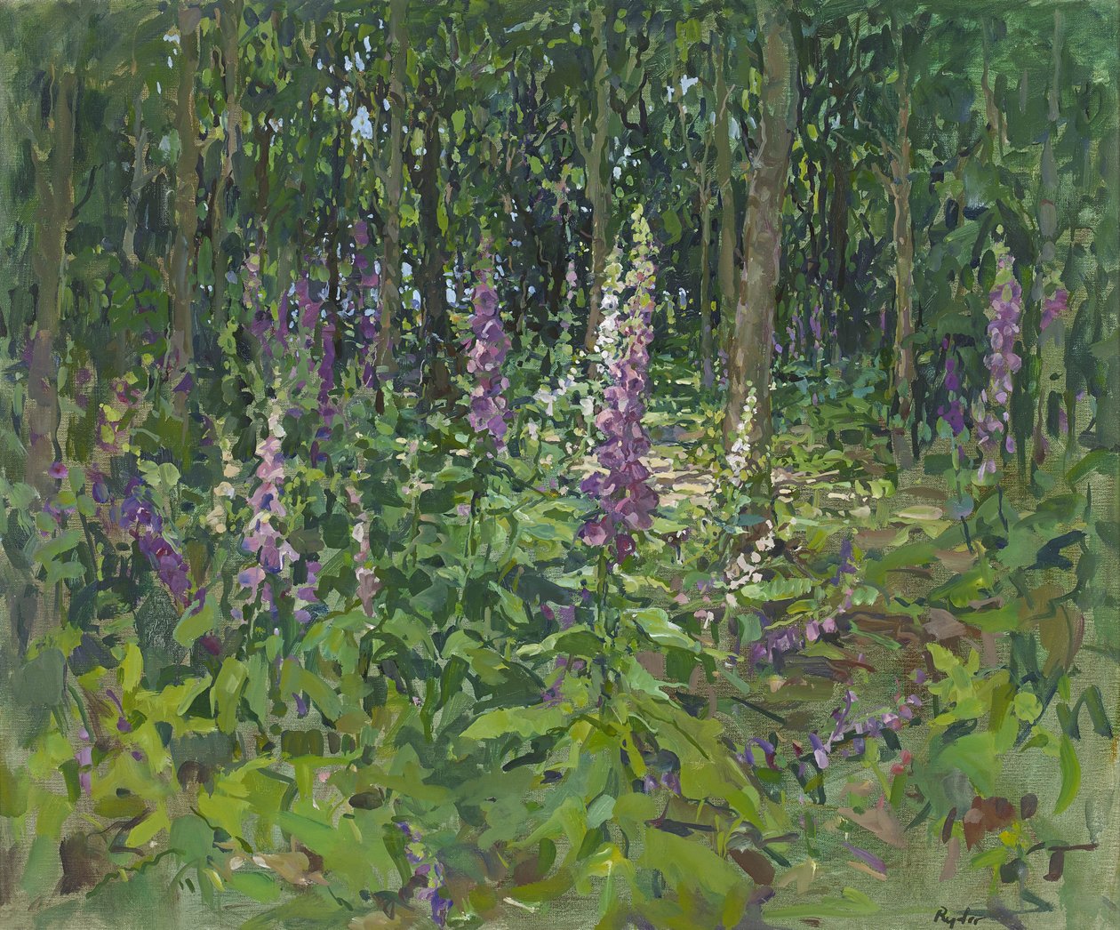 Digitale pourpre - Susan Ryder