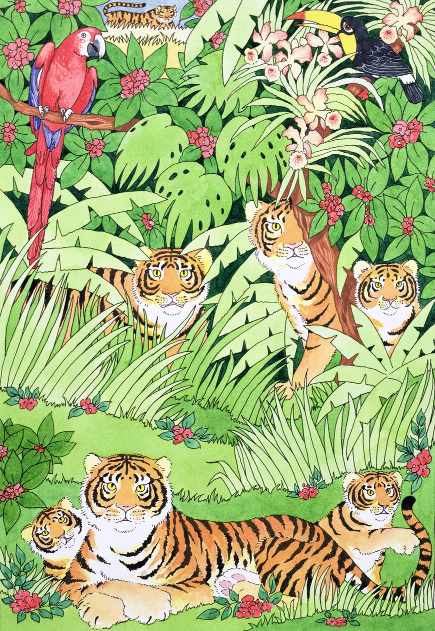 Tigre dans la Jungle - Suzanne Bailey