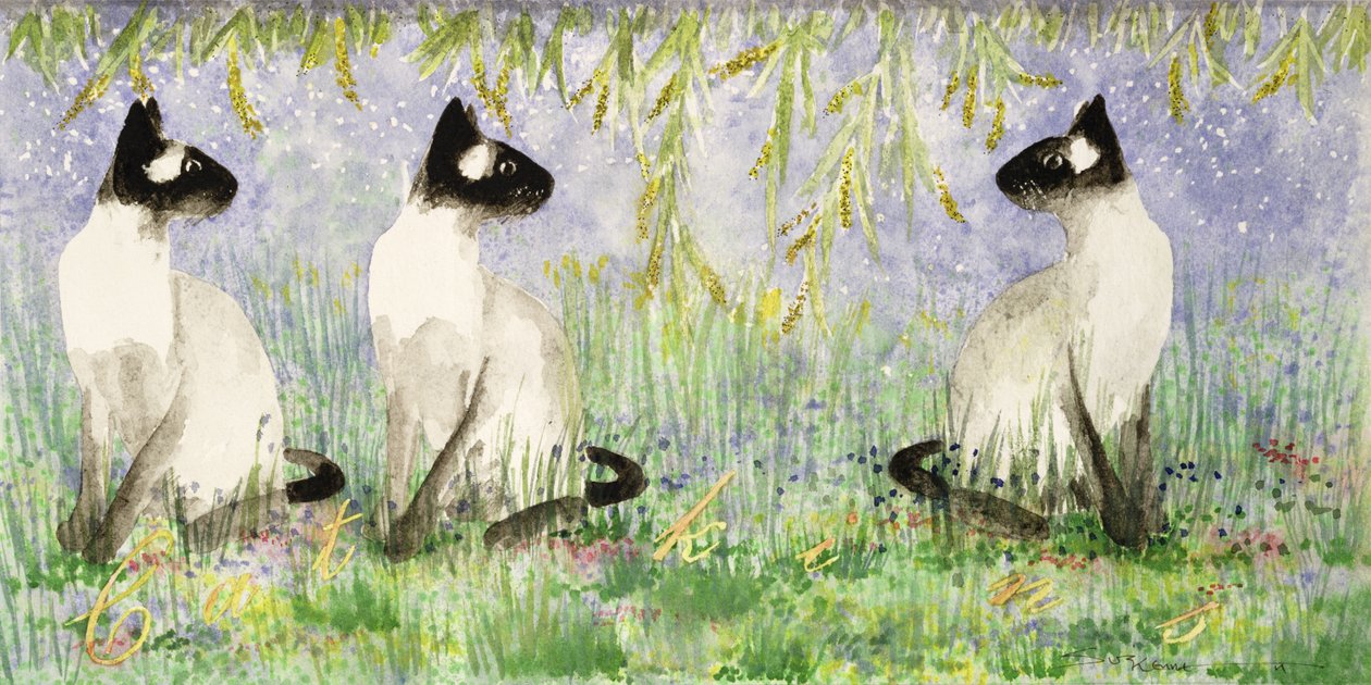Chatons - Suzi Kennett