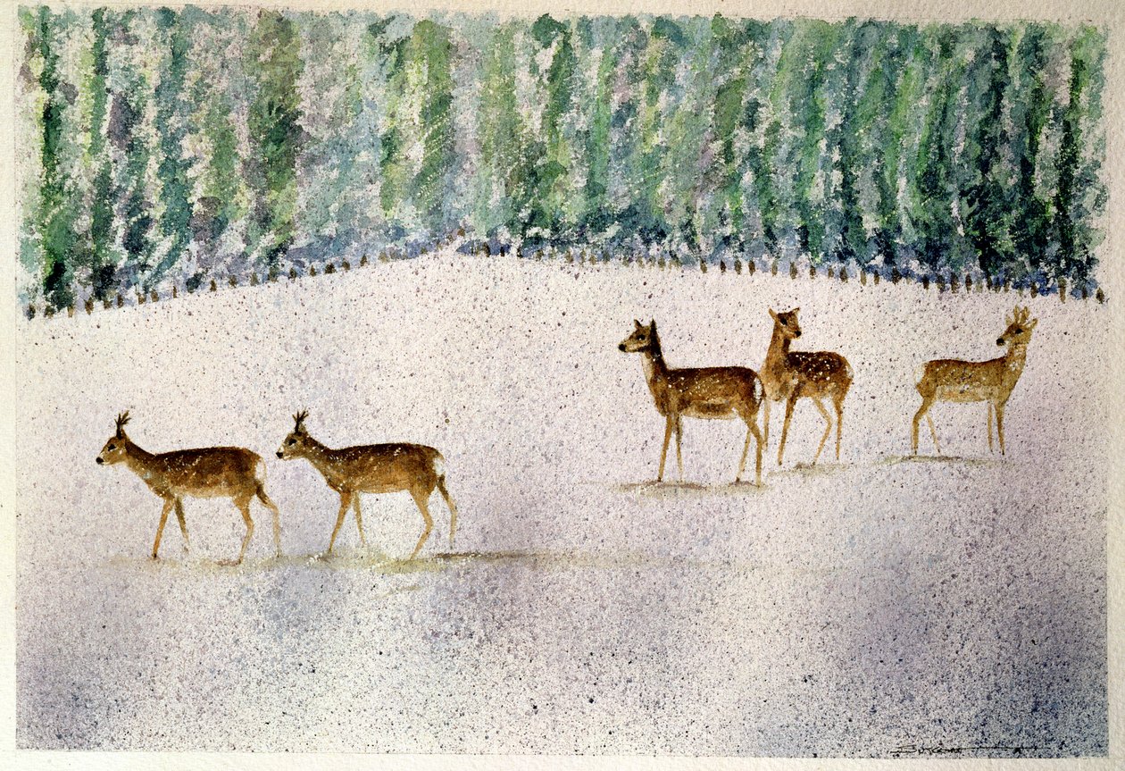 Cerfs dans la neige - Suzi Kennett