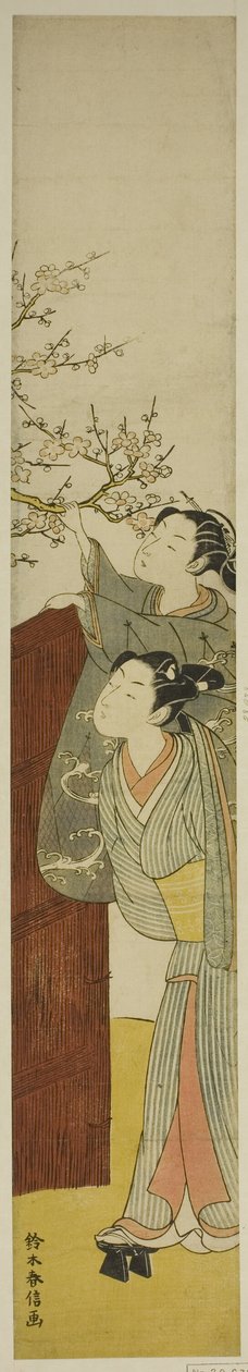 Cueillir une branche de prunier - Suzuki Harunobu