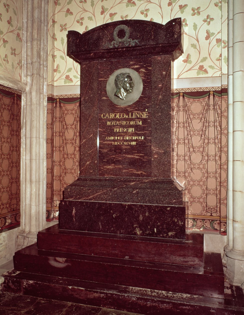 Tombe de Carl Linnaeus (1707-78) - Swedish School