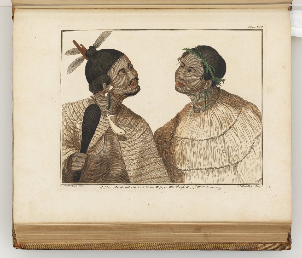Un guerrier néo-zélandais et sa femme, illustration de A journal of a voyage to the South Seas : in His Majestys ship, the Endeavour, 1794 - Sydney