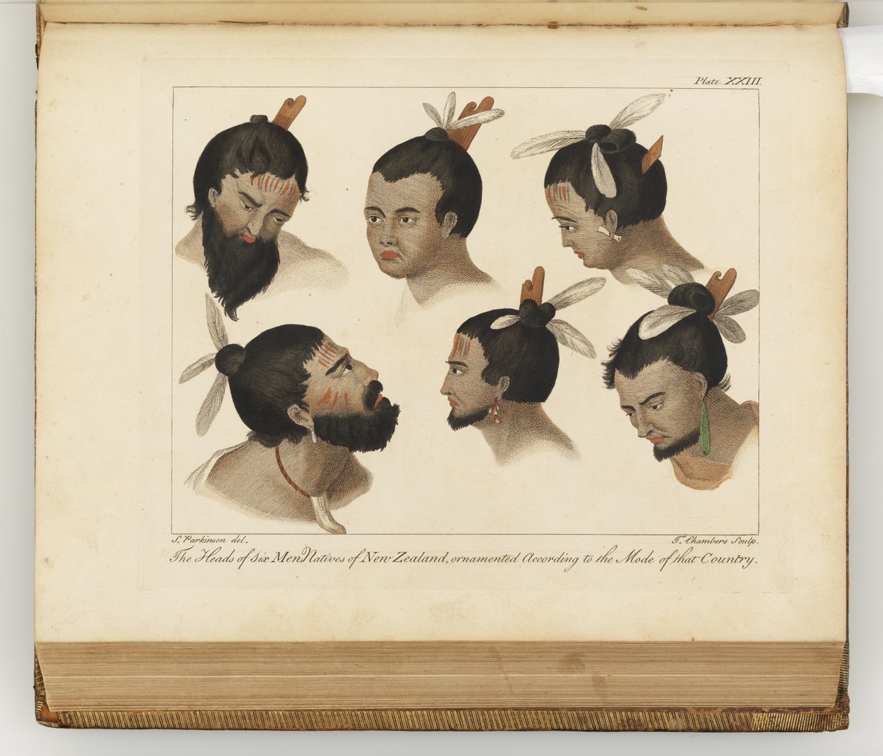 Les têtes de six hommes, illustration de A journal of a voyage to the South Seas : in His Majestys ship, the Endeavour, 1794 - Sydney