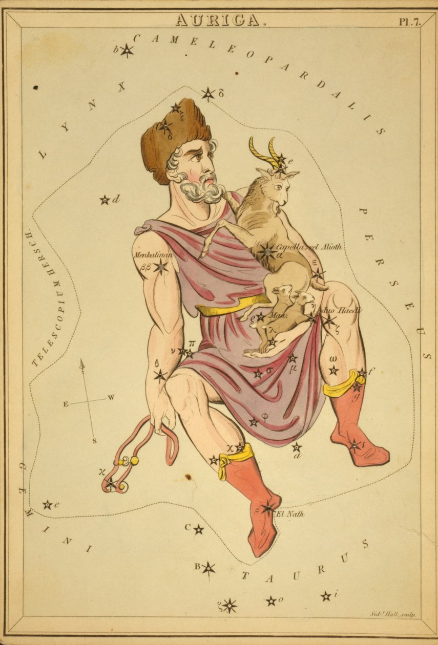 Auriga, Illustration de 