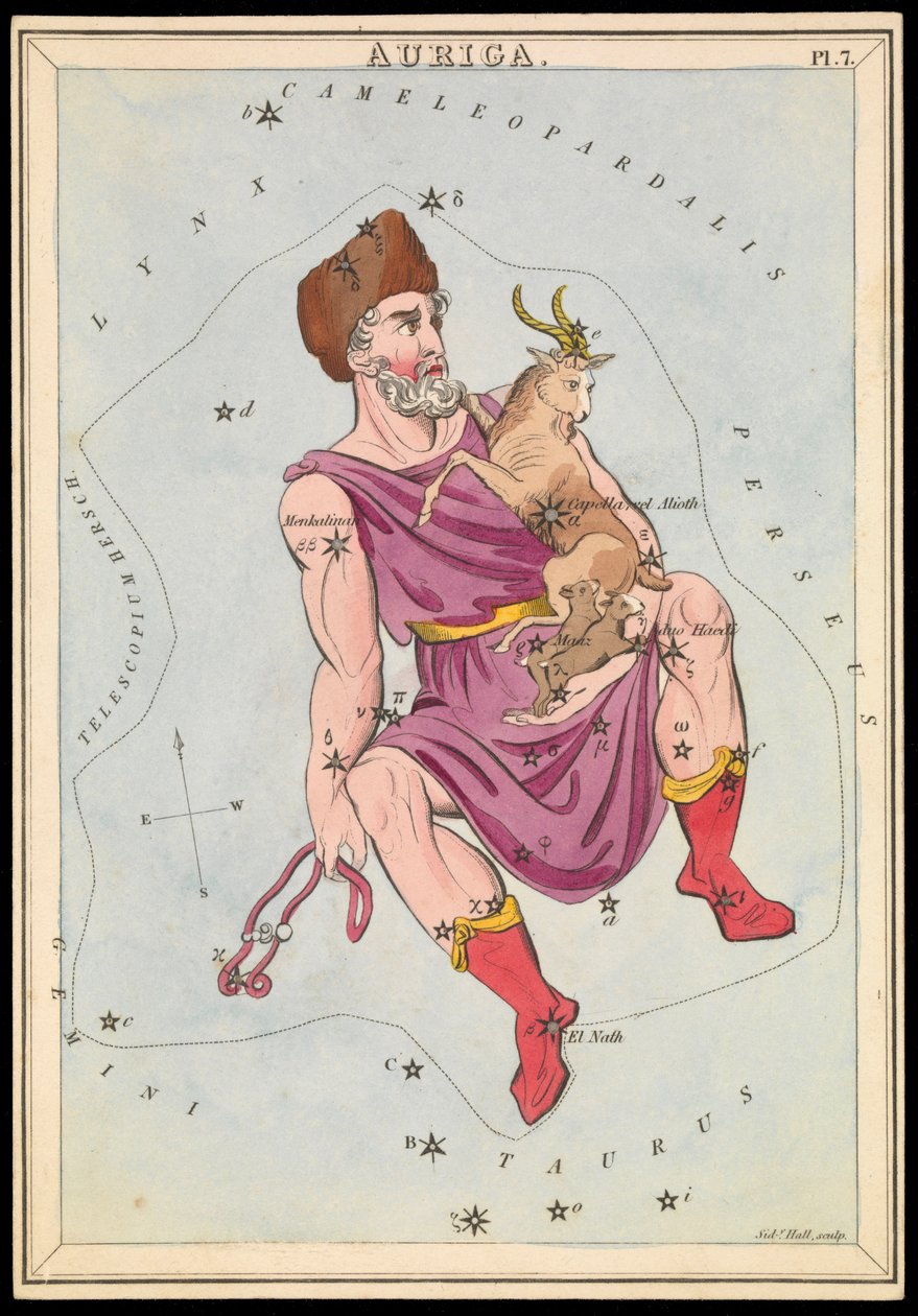 Aurige, c.1825 - Sydney Hall