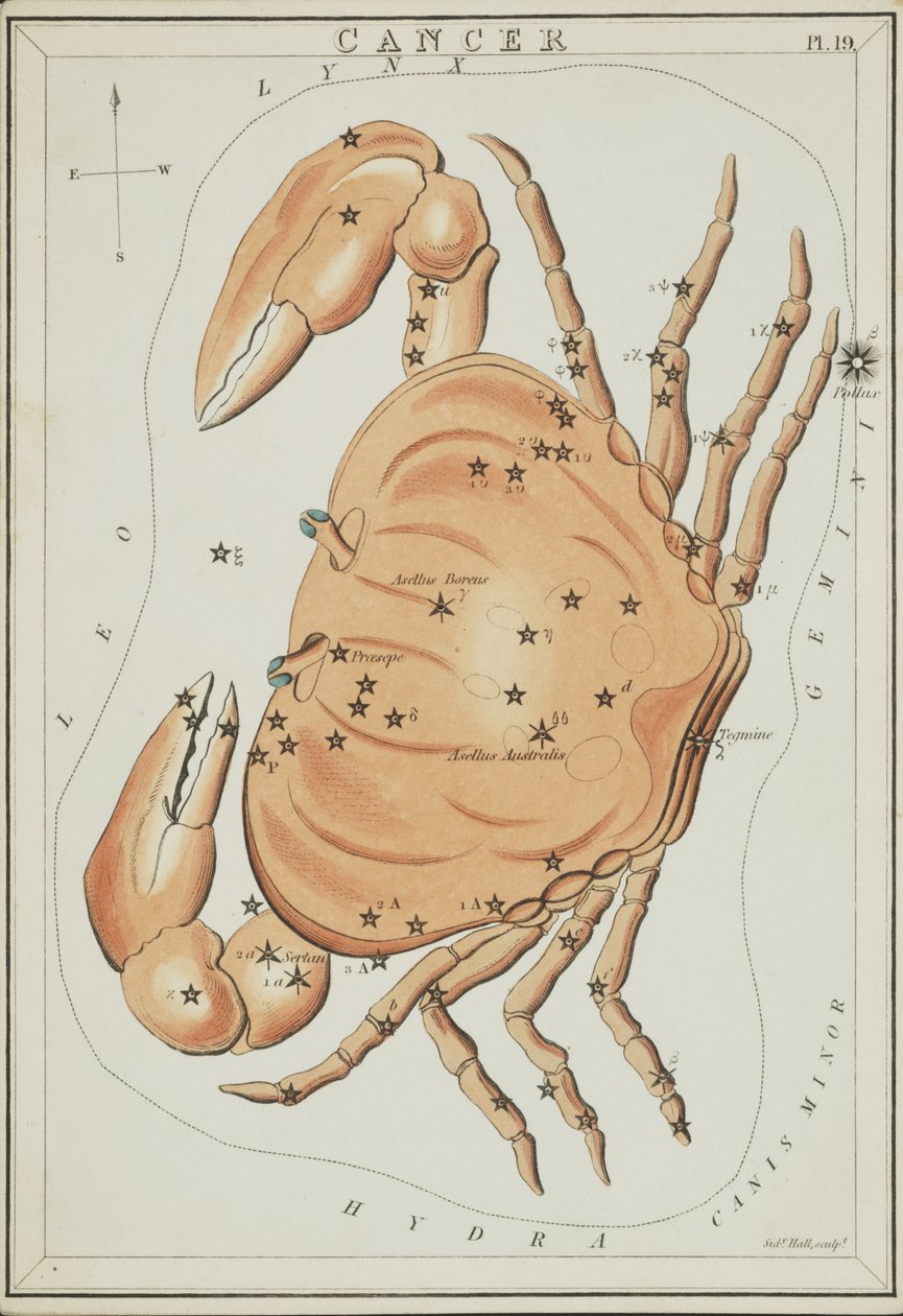 Cancer, Illustration de 