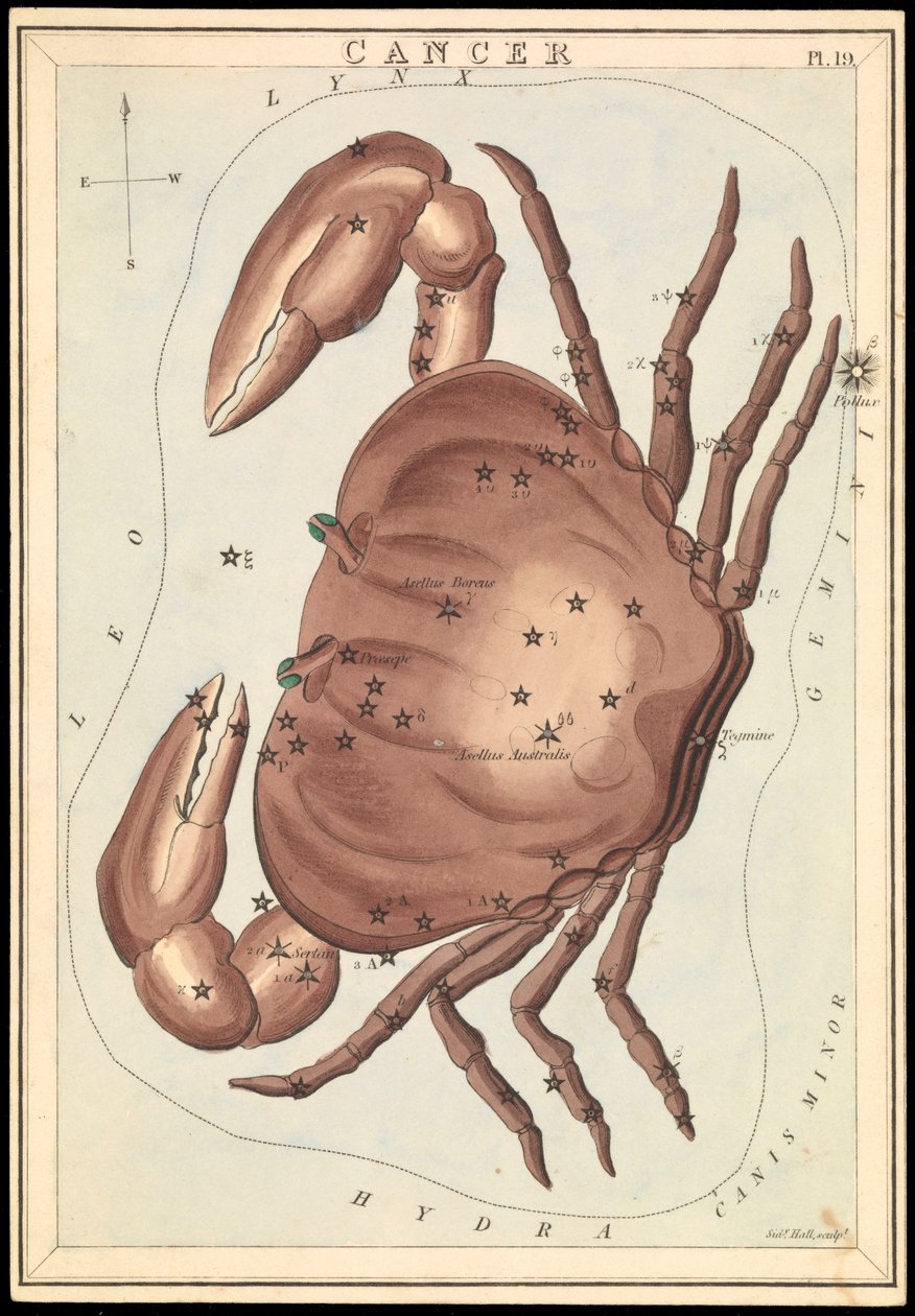 Cancer, vers 1825 - Sydney Hall