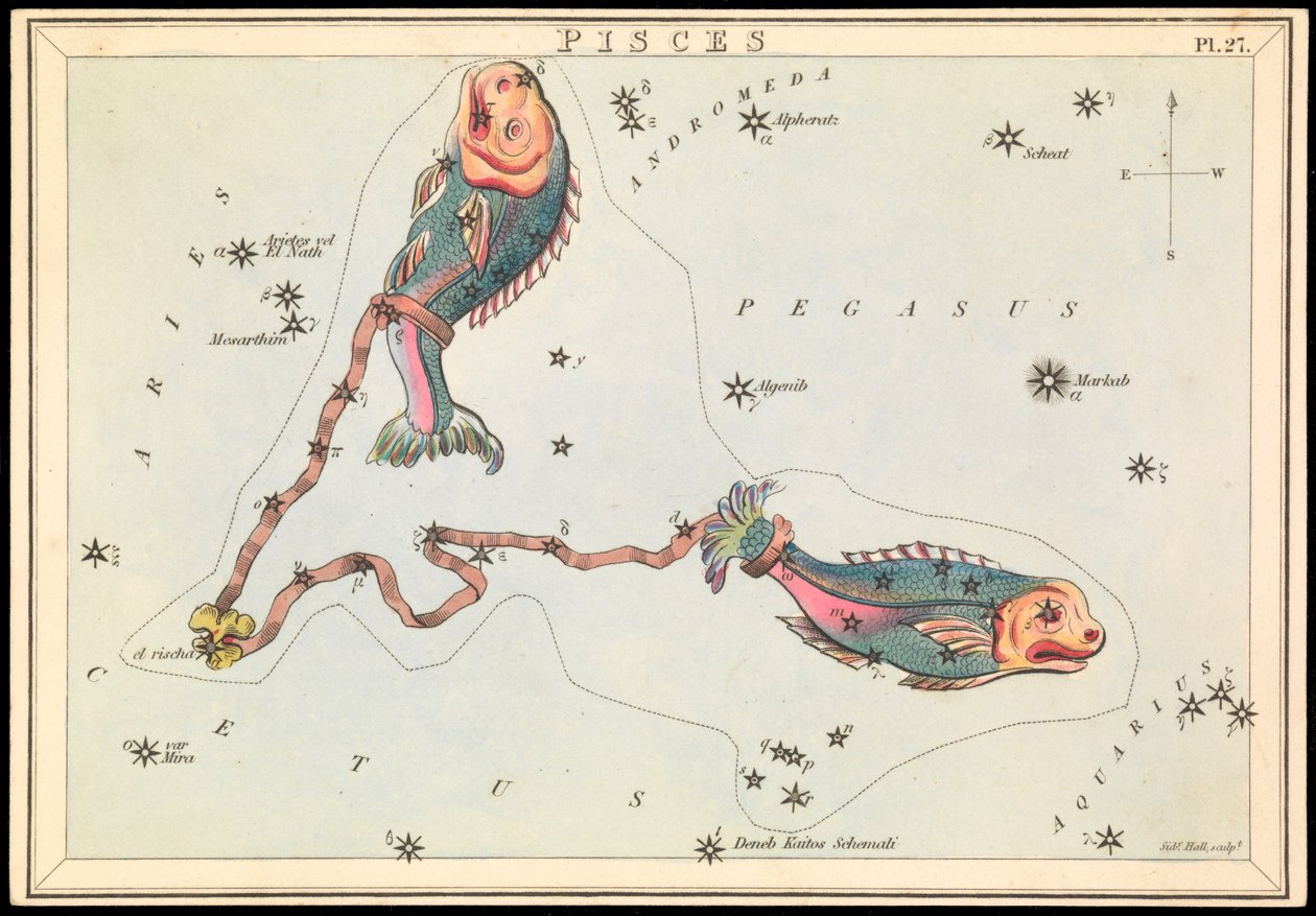 Poissons, c.1825 - Sydney Hall