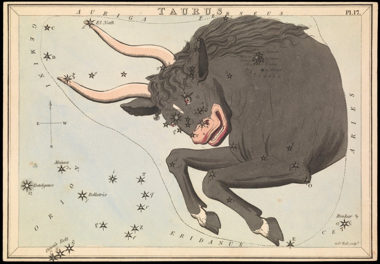 Taureau, c.1825 - Sydney Hall