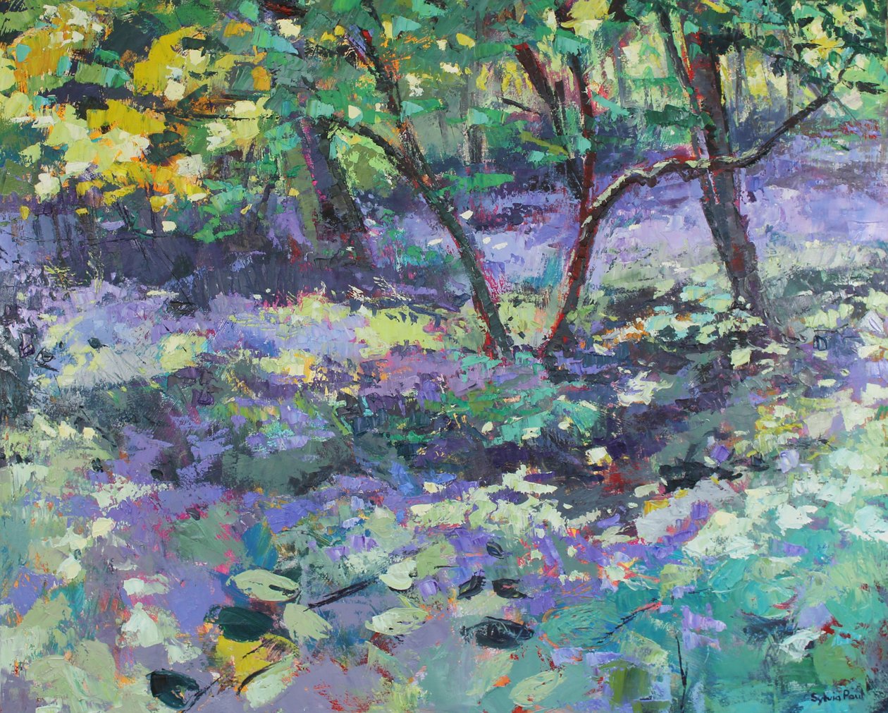 Clairière de jacinthes - Sylvia Paul