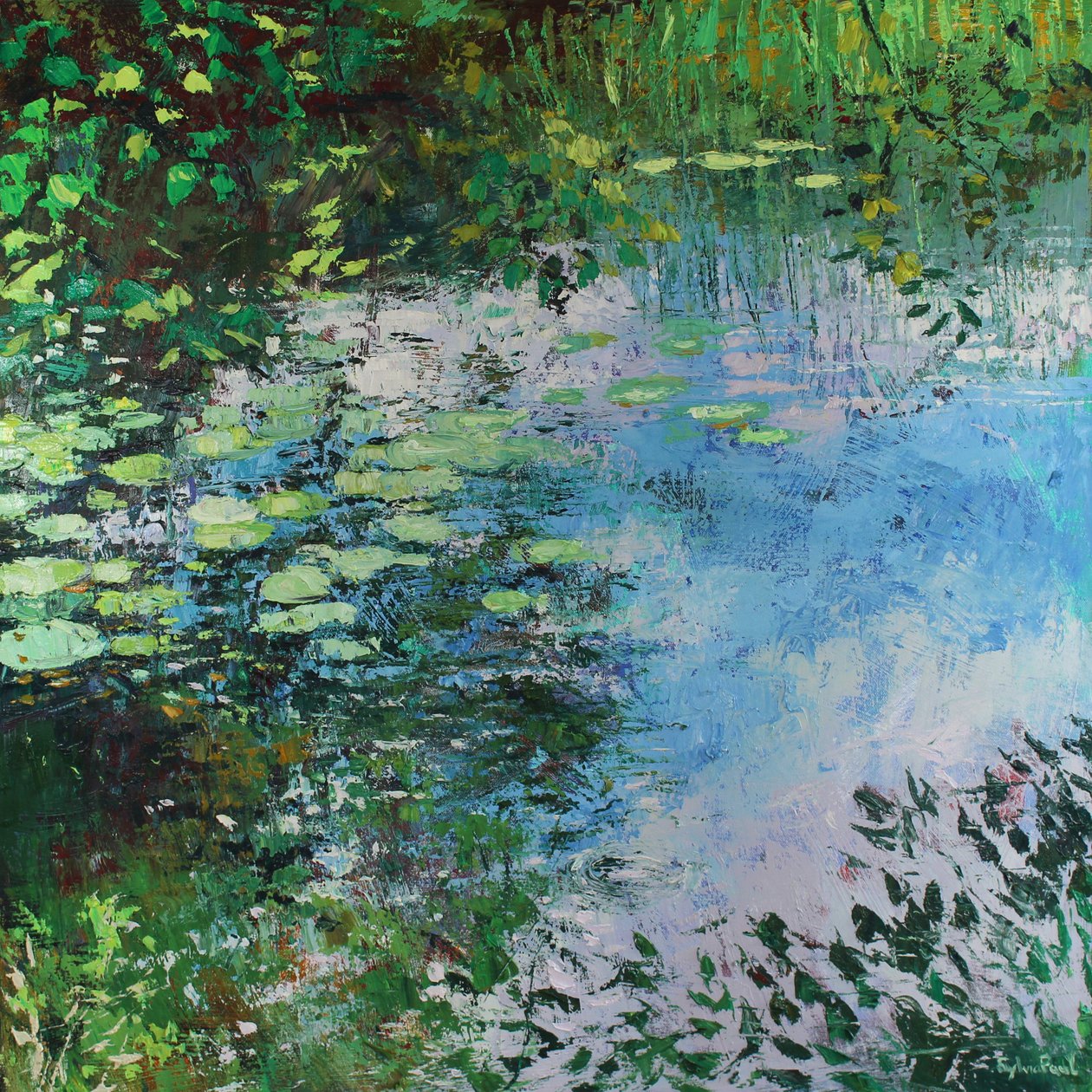 Lys sur la rivière - Sylvia Paul