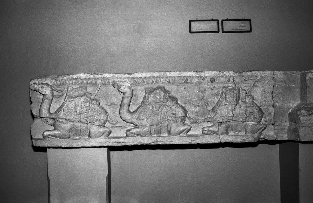 Relief de chameau (pierre) - Syrian