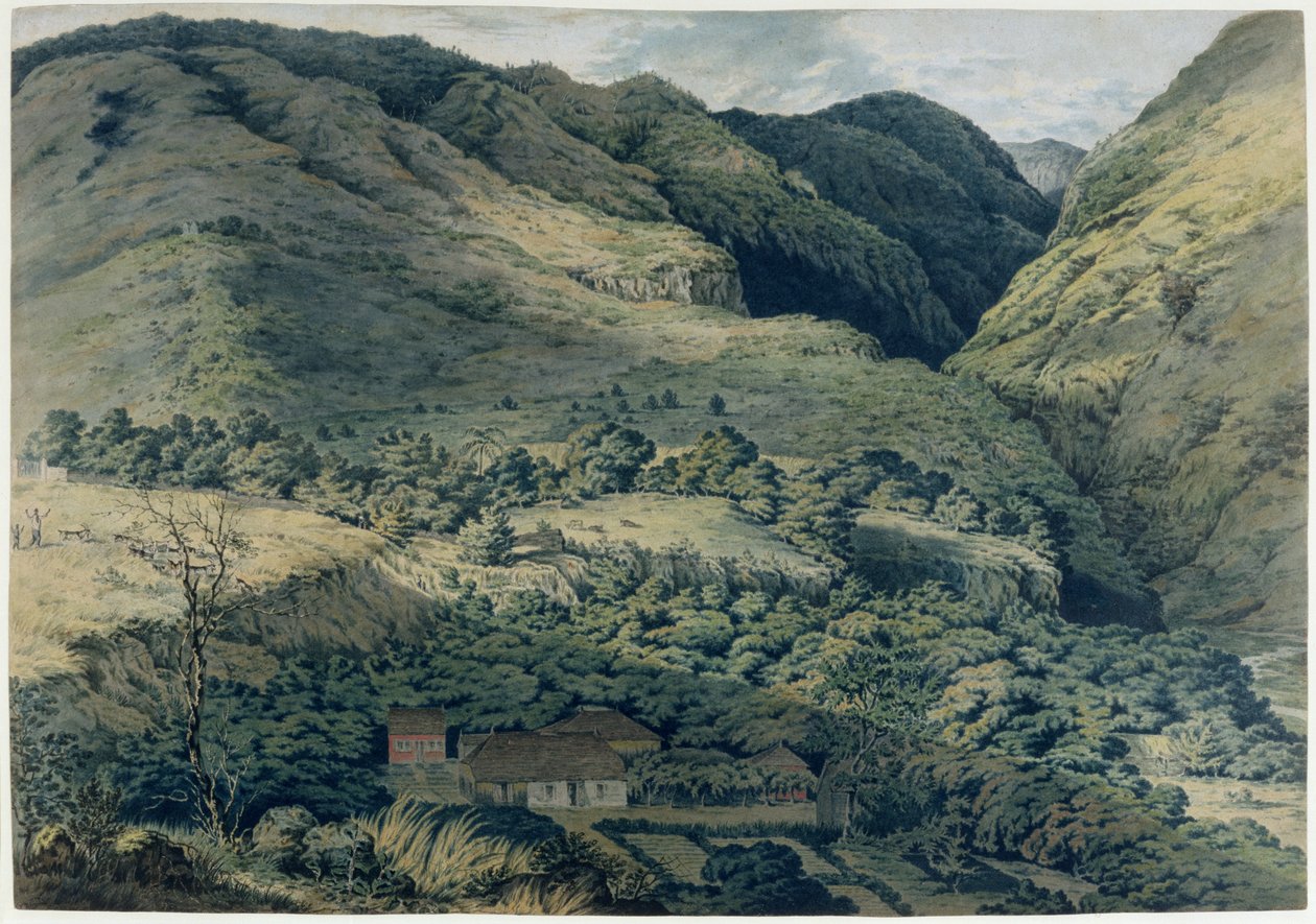Ravin et rivière à Saint-Denis, Bourbon, 1814 - T. Bradshaw
