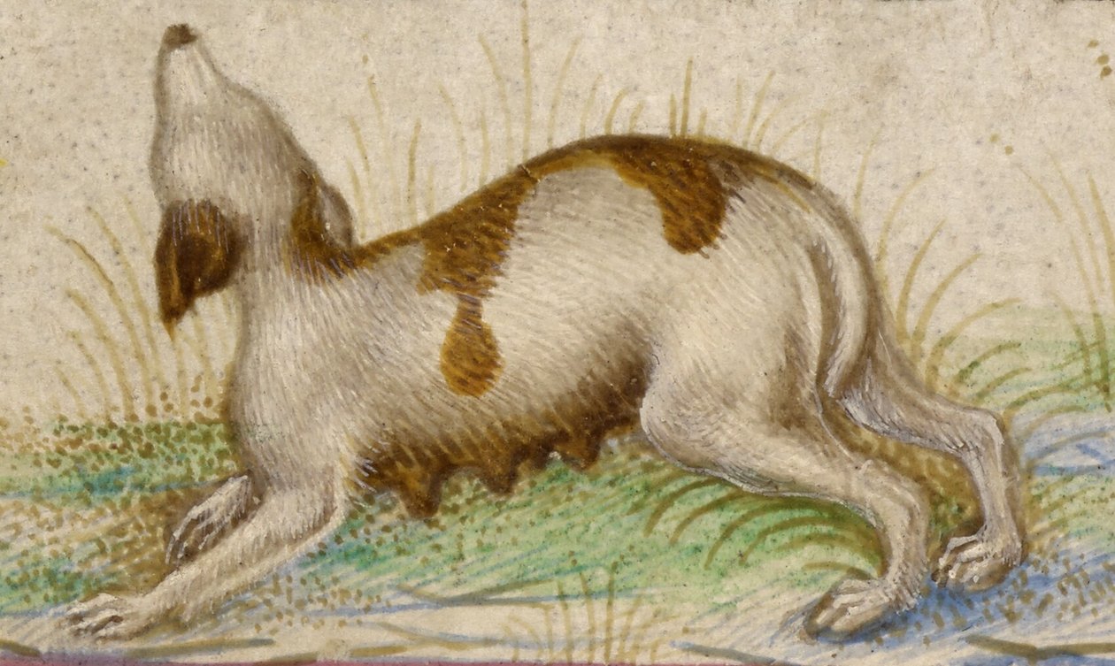Heures Gualenghi-d