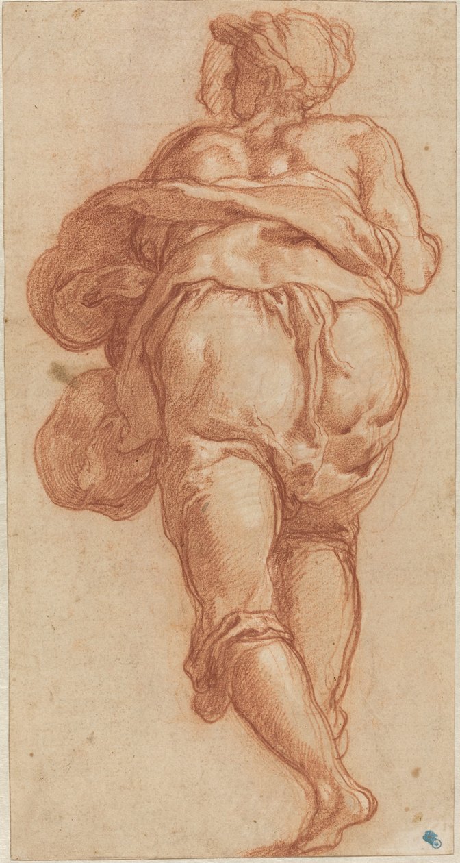 Un homme vu de dos [recto] - Taddeo Zuccaro