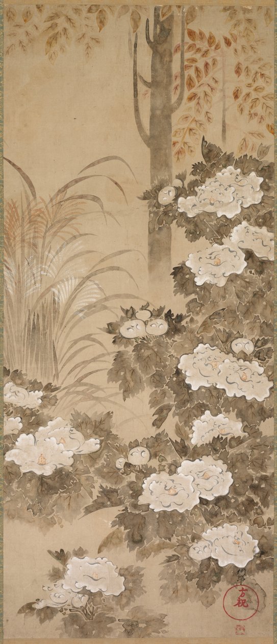 Pivoines - Tatebayashi Kagei