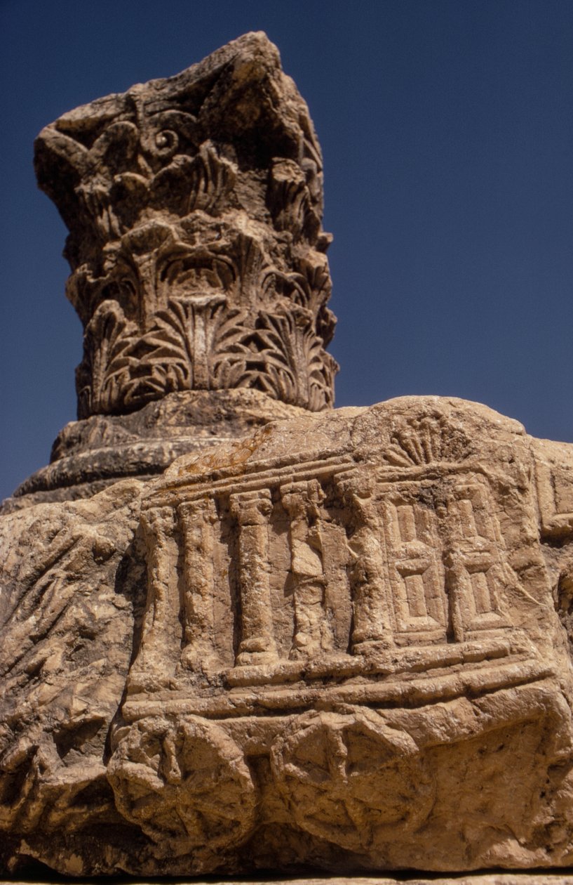 Ruines de la synagogue à Capharnaüm, Israël - Ted Spiegel