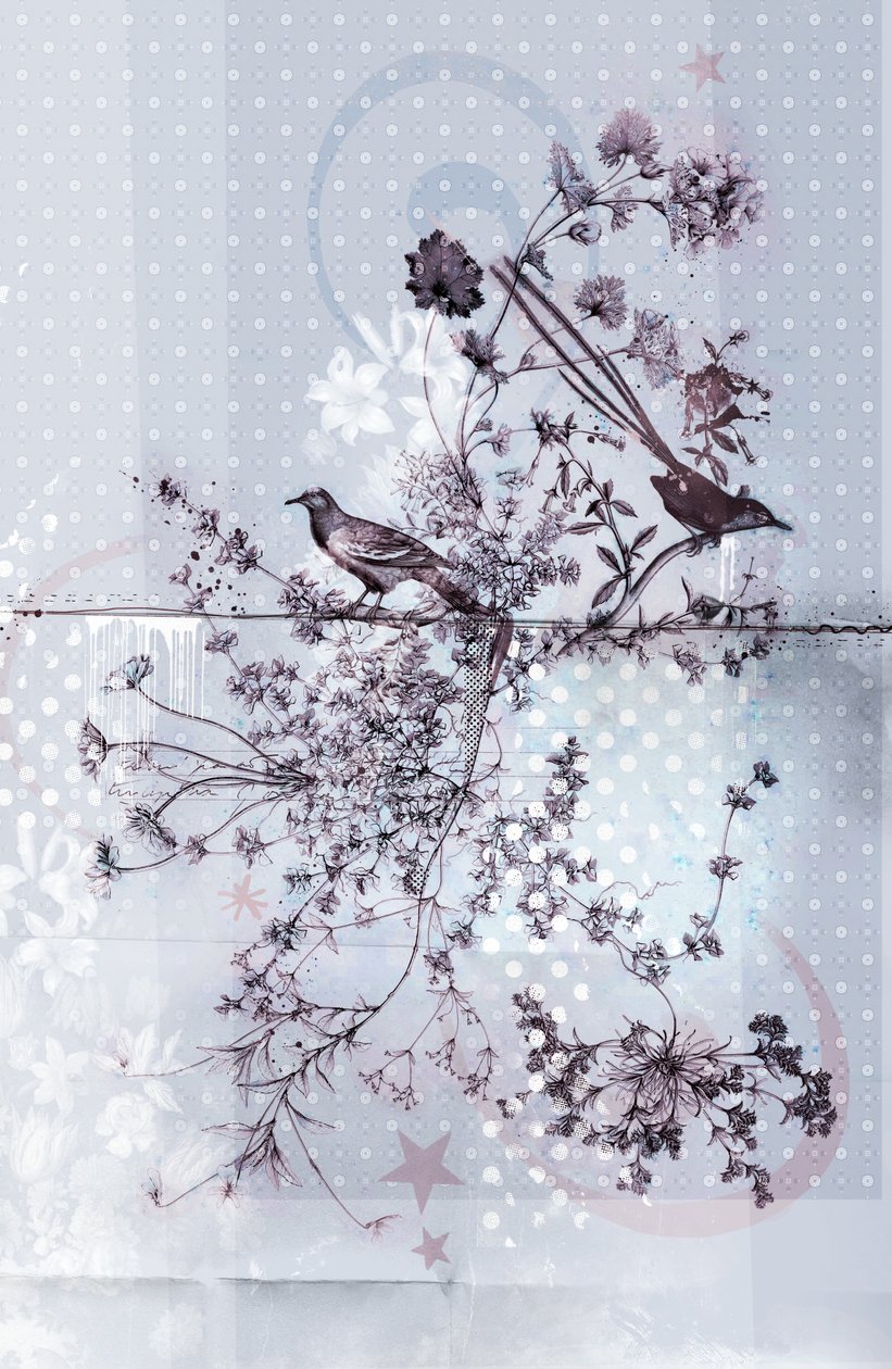 Branches d
