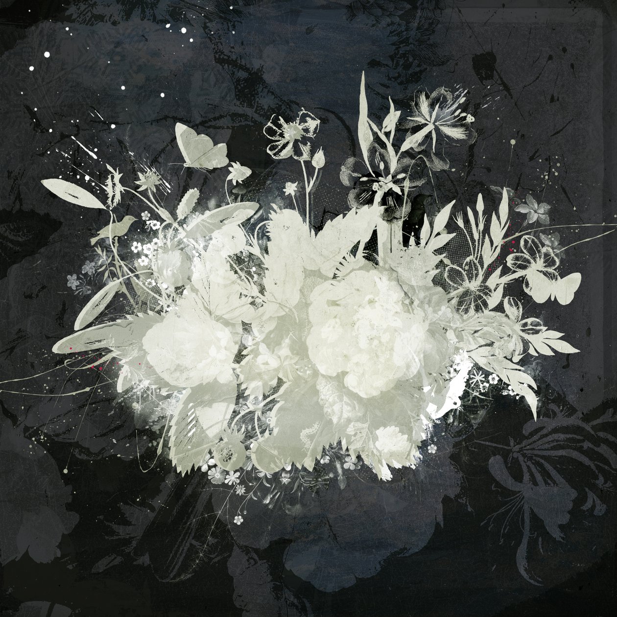 Silhouette florale - Teis Albers