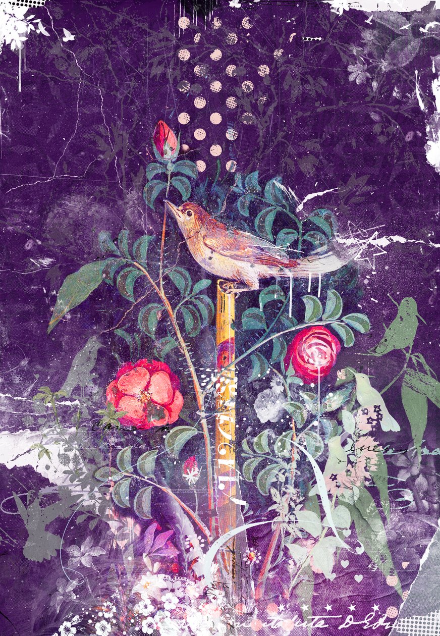 Oiseau de Pompéi, 2014 - Teis Albers