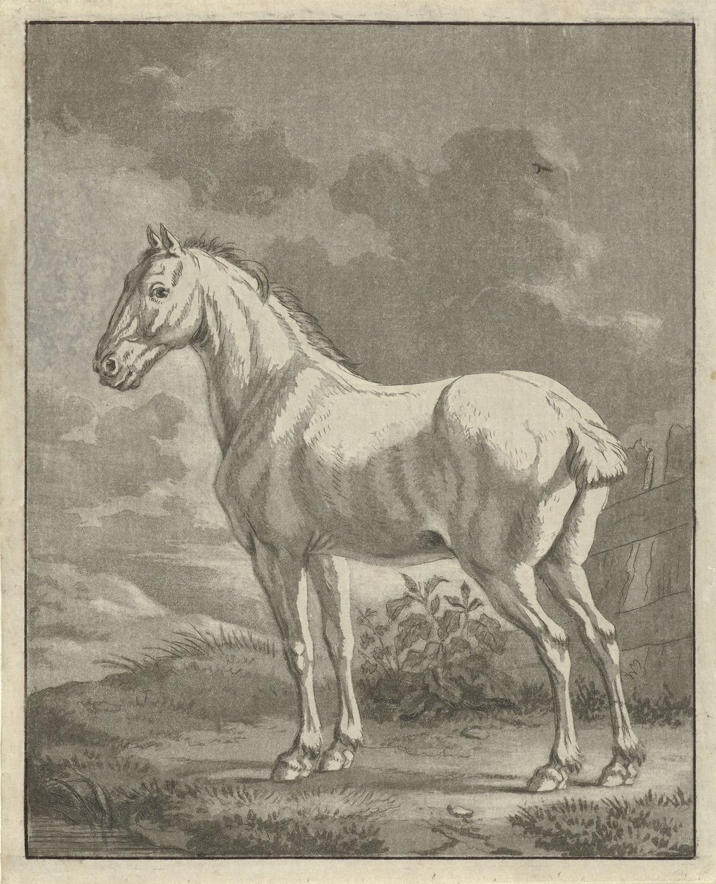 Cheval blanc dans un pré - Tethart Philip Christian Haag