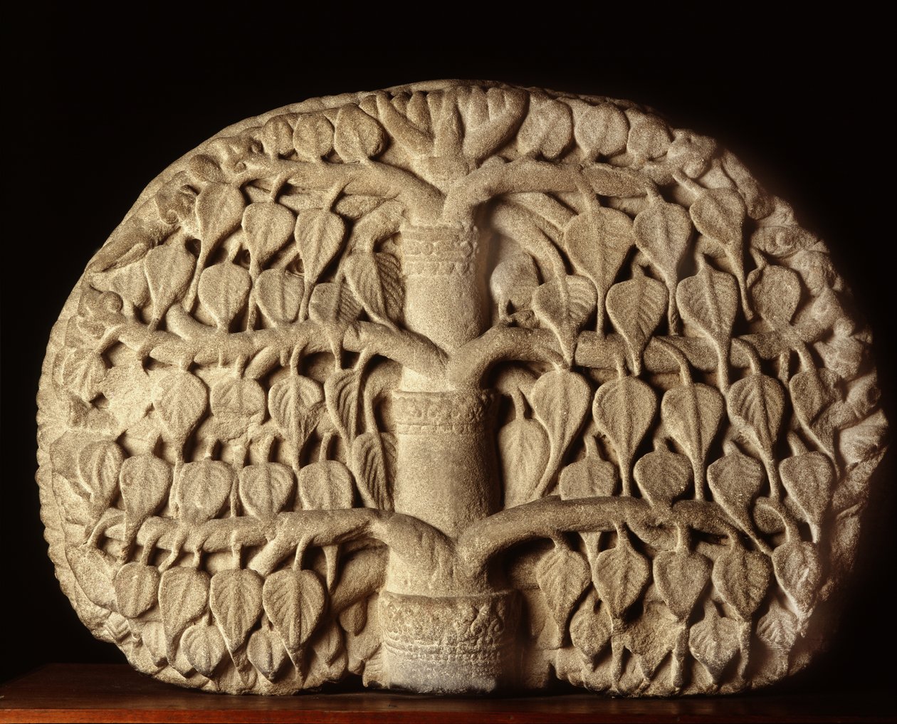 Arbre de Bodhi - Thai School