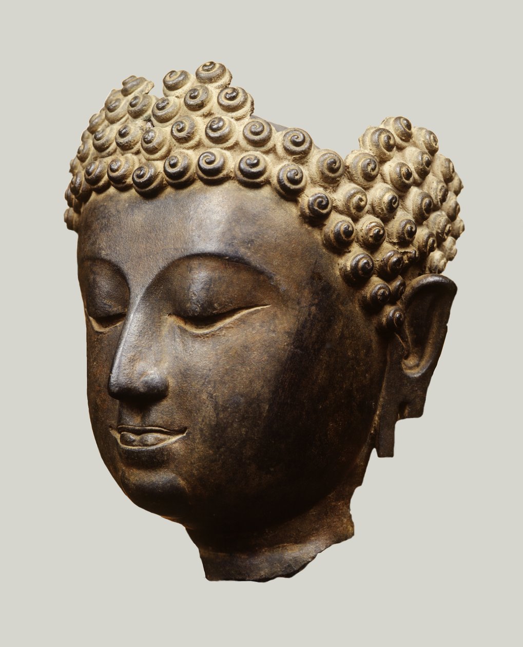 Tête de Bouddha, style Lanna - Thai School