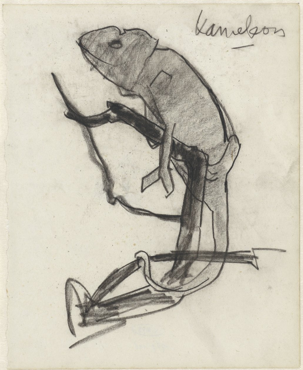 Caméléon - Theo Nieuwenhuis