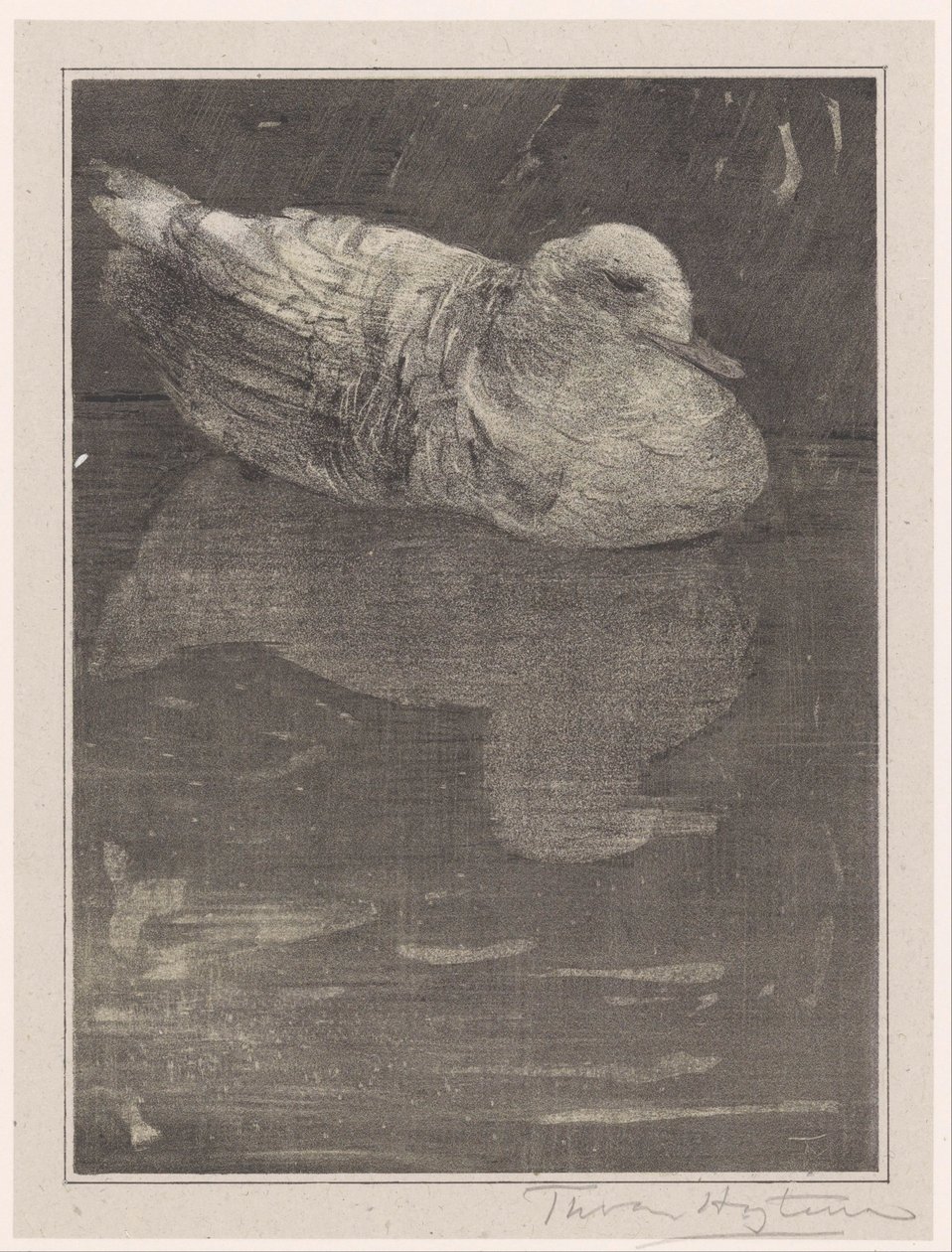 Canard flottant - Theo van Hoytema (signed by artist)