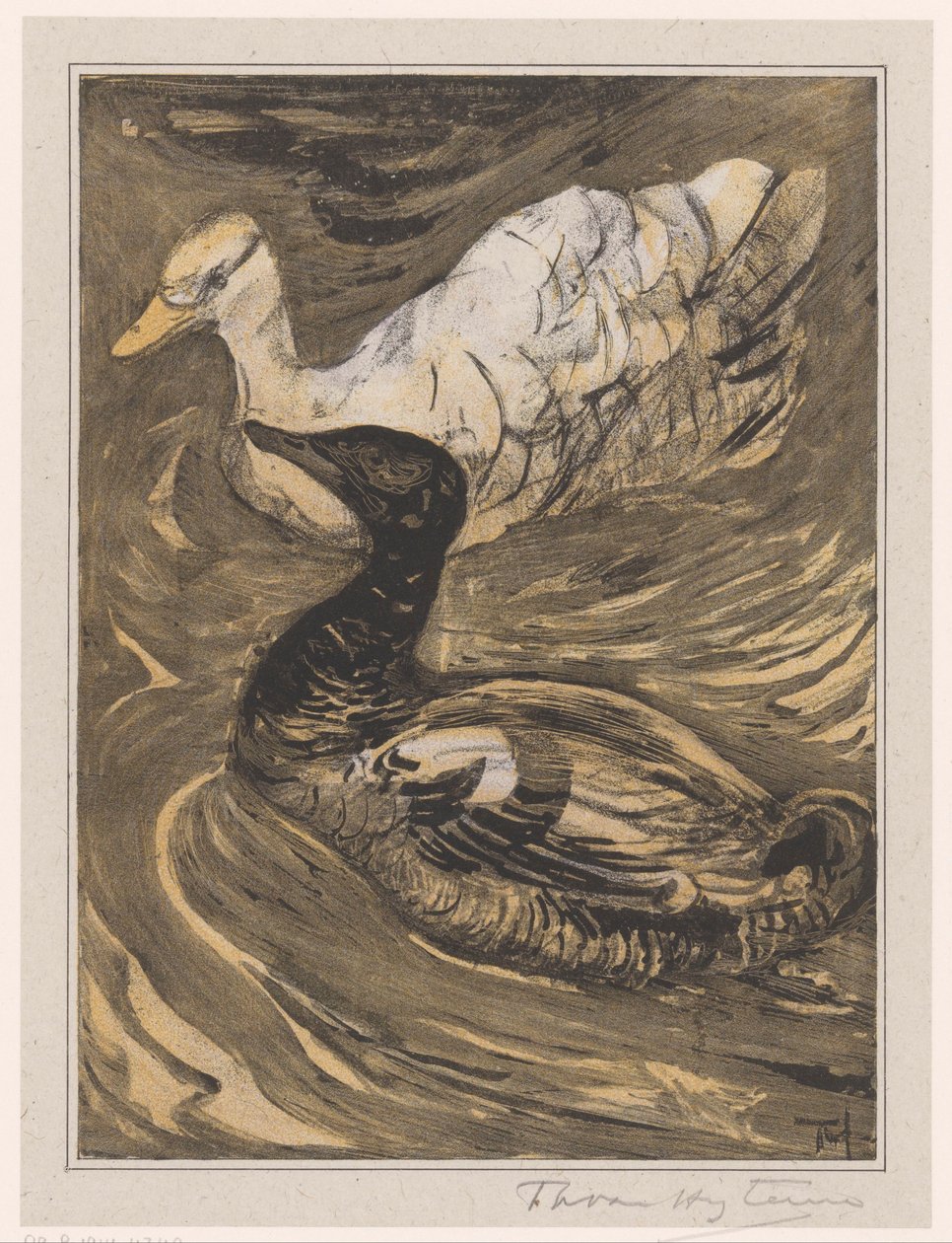 Deux canards nageant - Theo van Hoytema (signed by artist)