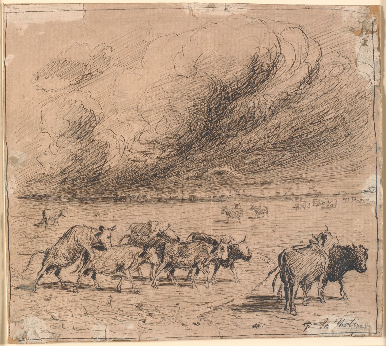 Un troupeau de vaches enragées à Saltholm - Theodor Philipsen