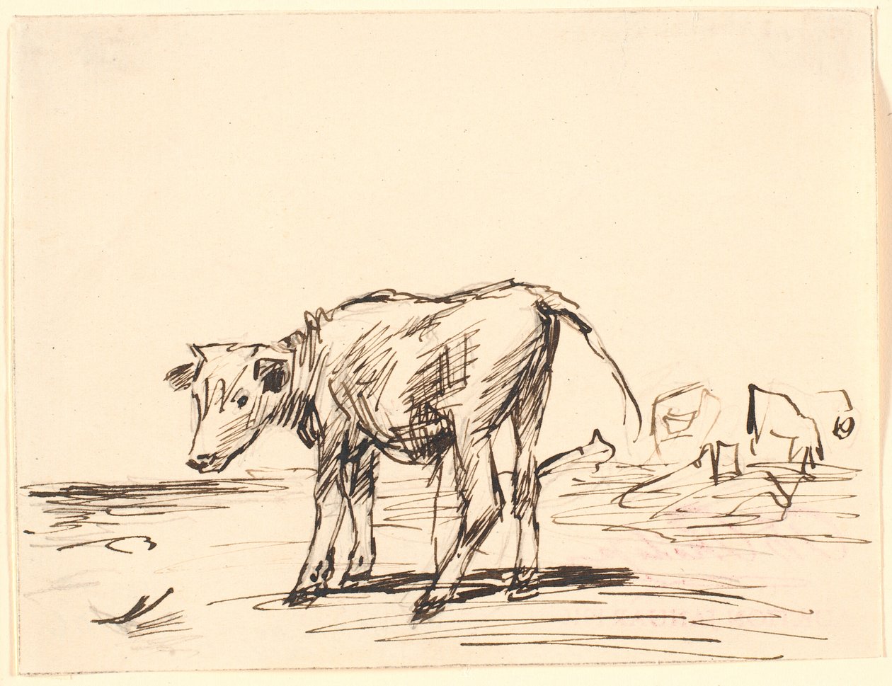 Un veau - Theodor Philipsen