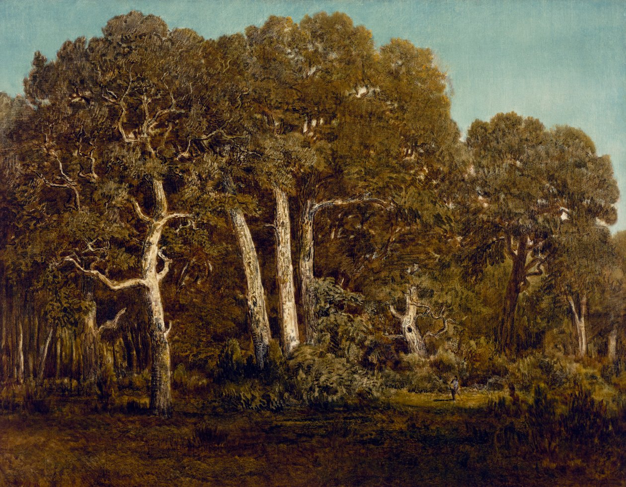 Les Grands Chênes du Vieux Bas-Breau, 1864 - Pierre Etienne Theodore Rousseau