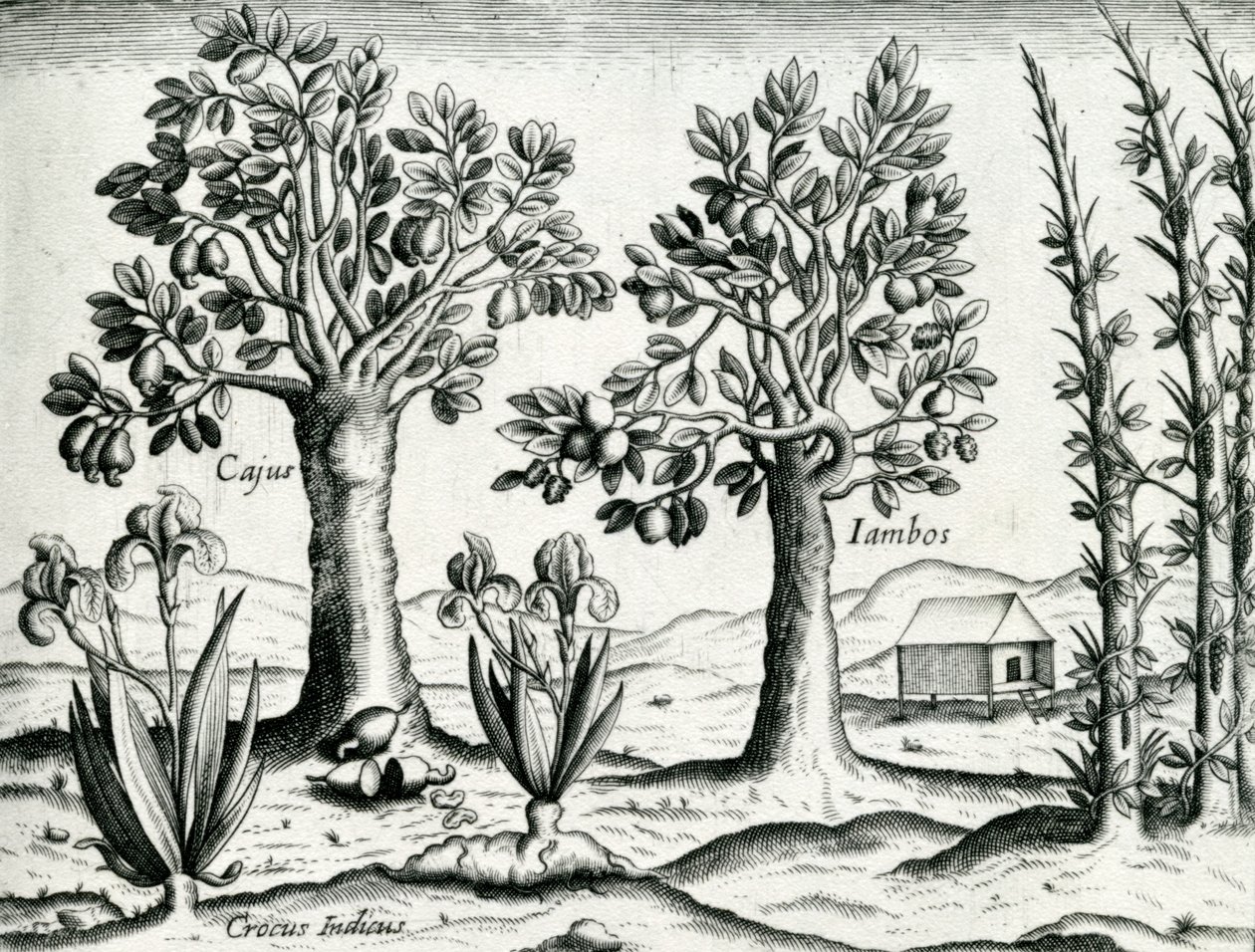 Paysage, illustration de 