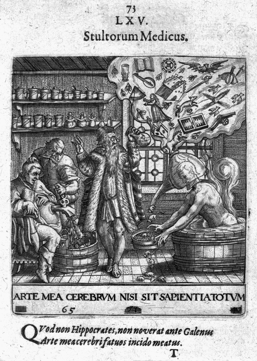 Stultorum Medicus de 