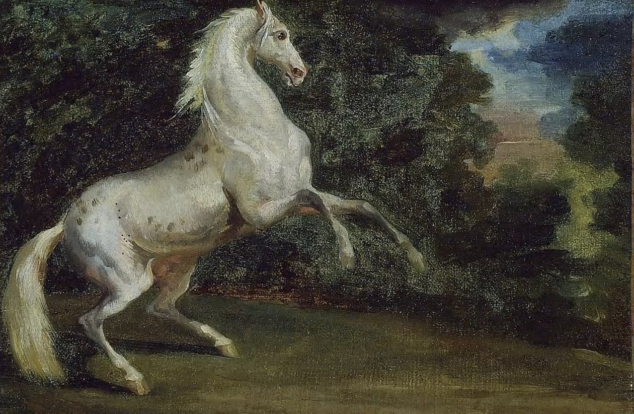 Cheval Cabriolant - Theodore Gericault