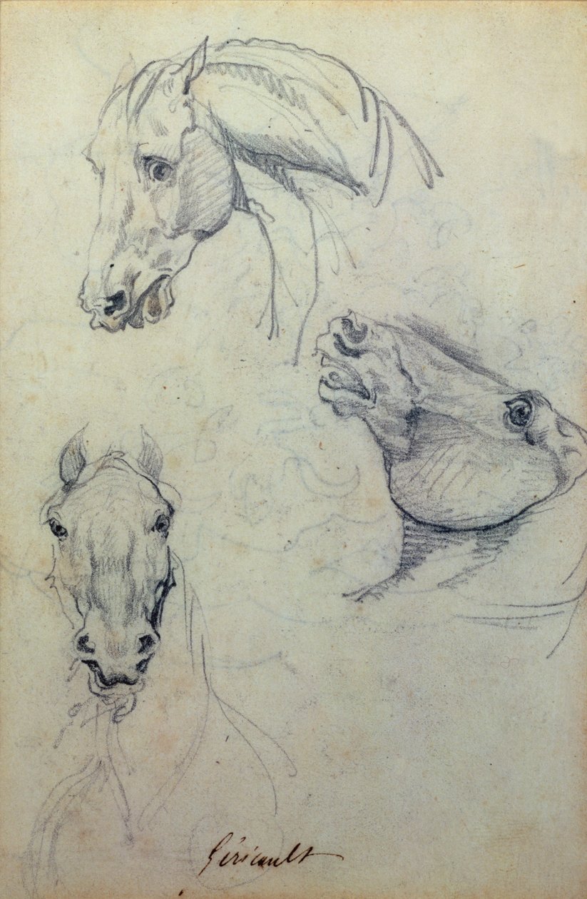 Trois têtes de chevaux - Theodore Gericault