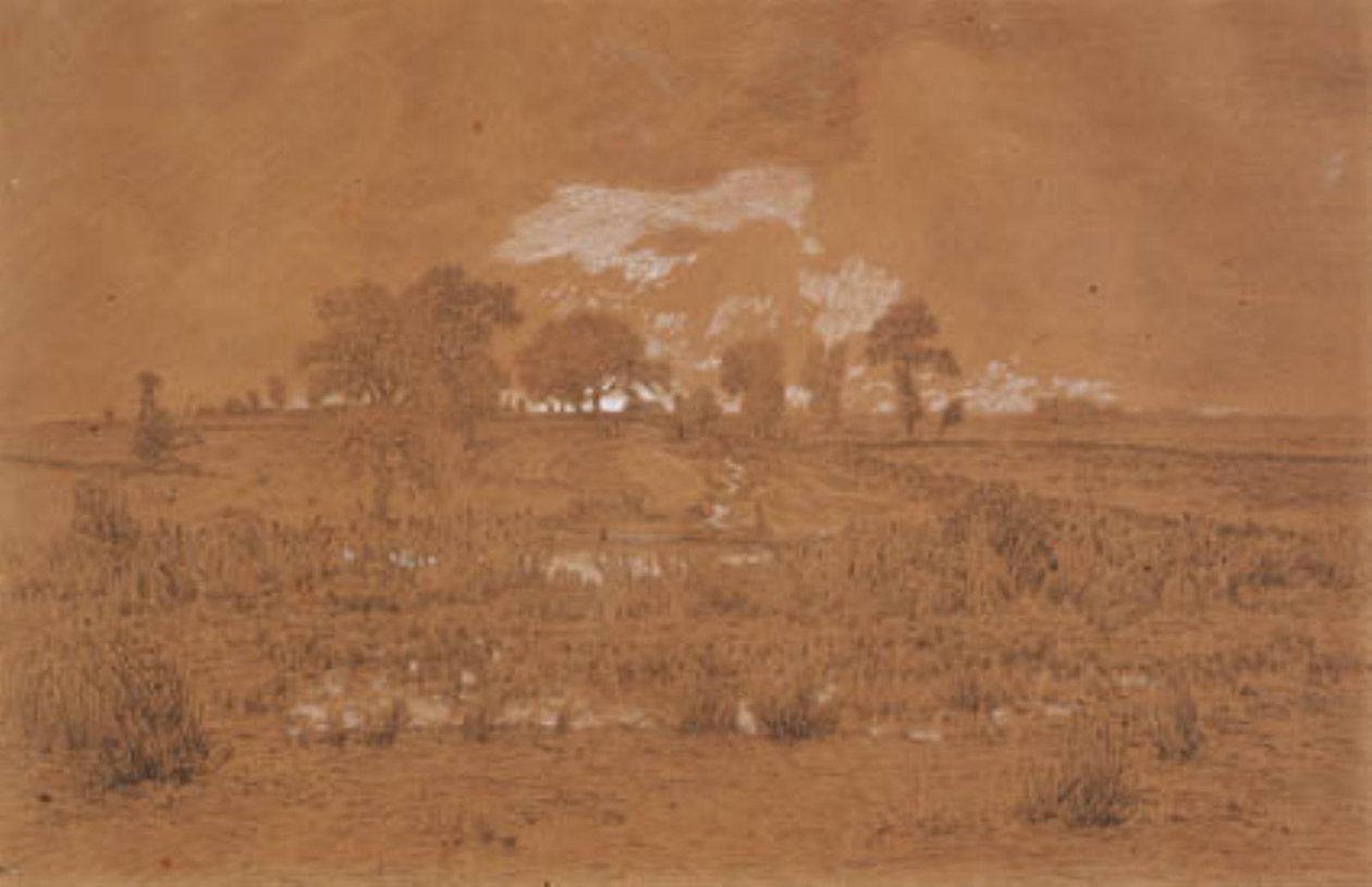 Paysage du soir avec un marais - Theodore Rousseau