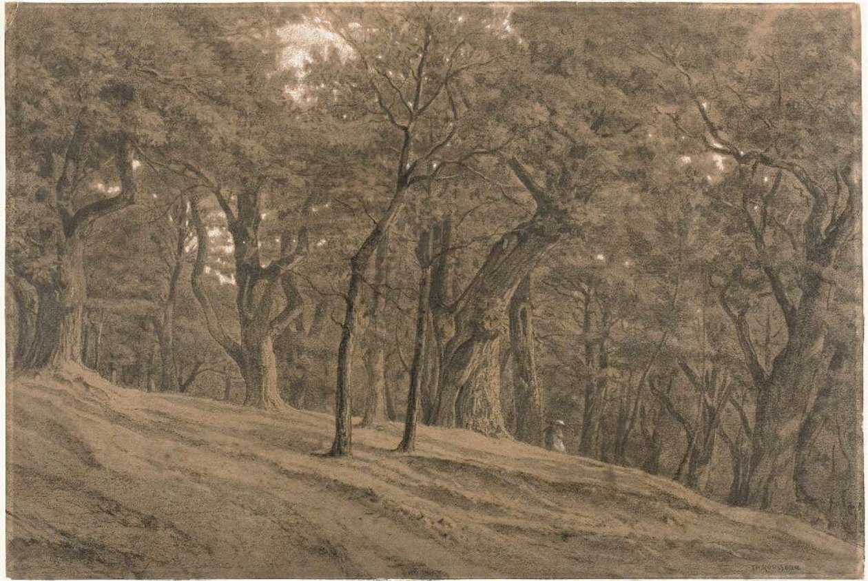 Dans la forêt de Fontainbleau - Theodore Rousseau