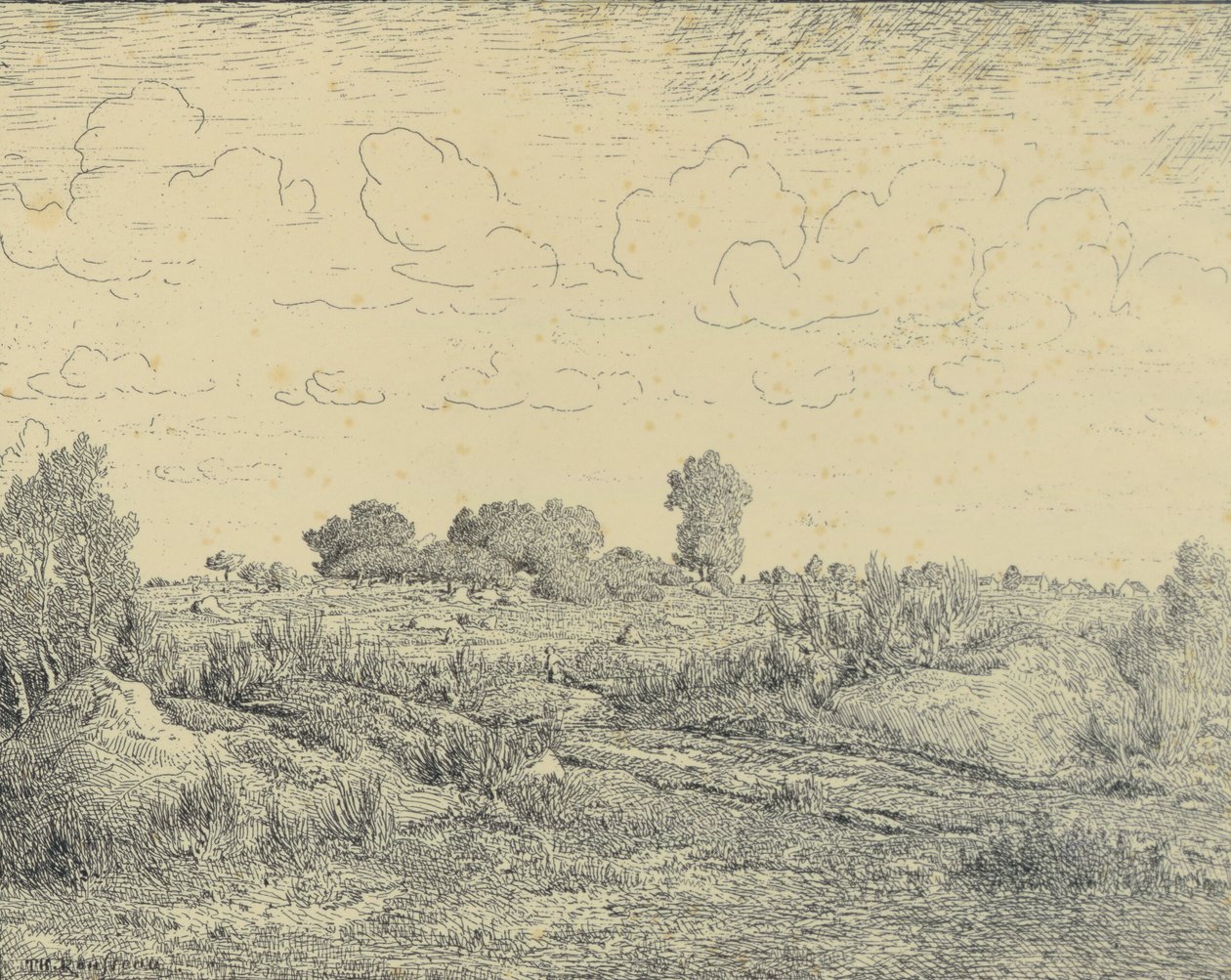 Le Plaine de La Plante à Biau - Theodore Rousseau