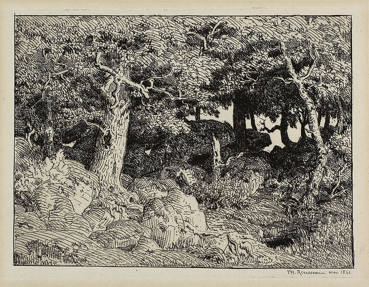 Chêne sur les rochers - Theodore Rousseau