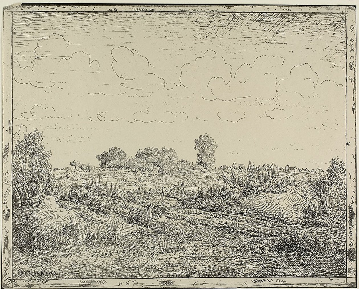 Plaine à Plante à Biau - Theodore Rousseau
