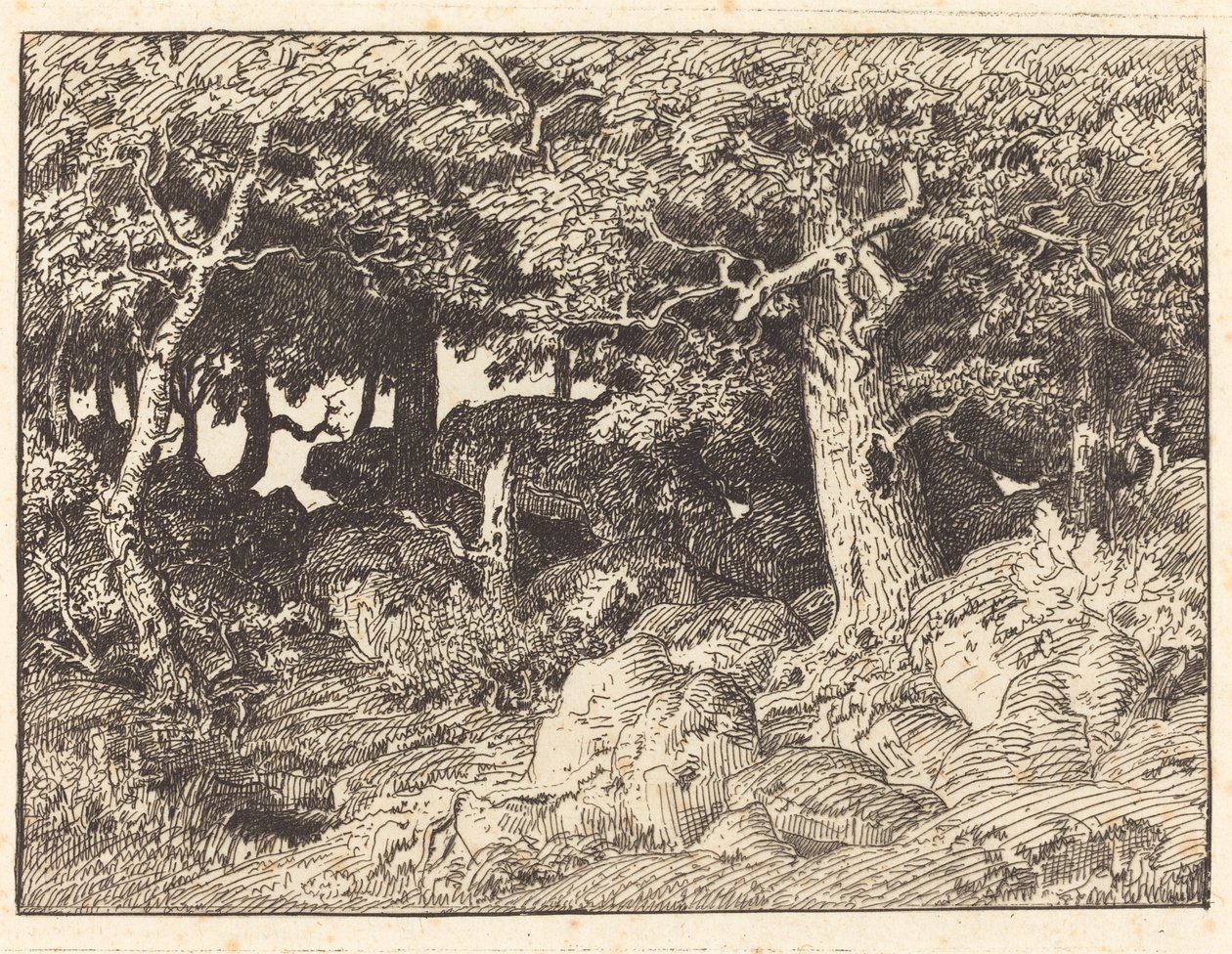 Chênes rocheux - Theodore Rousseau