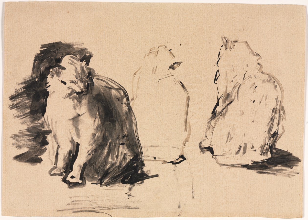 Chats (recto) - Theodule Ribot
