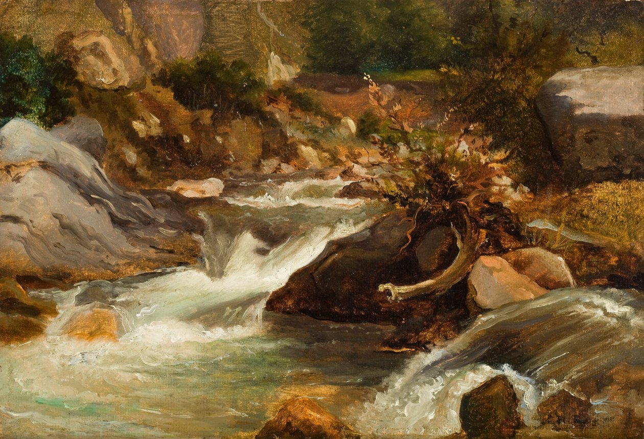 Étude de paysage (La Source) c.1830 - Pierre Etienne Theodore Rousseau