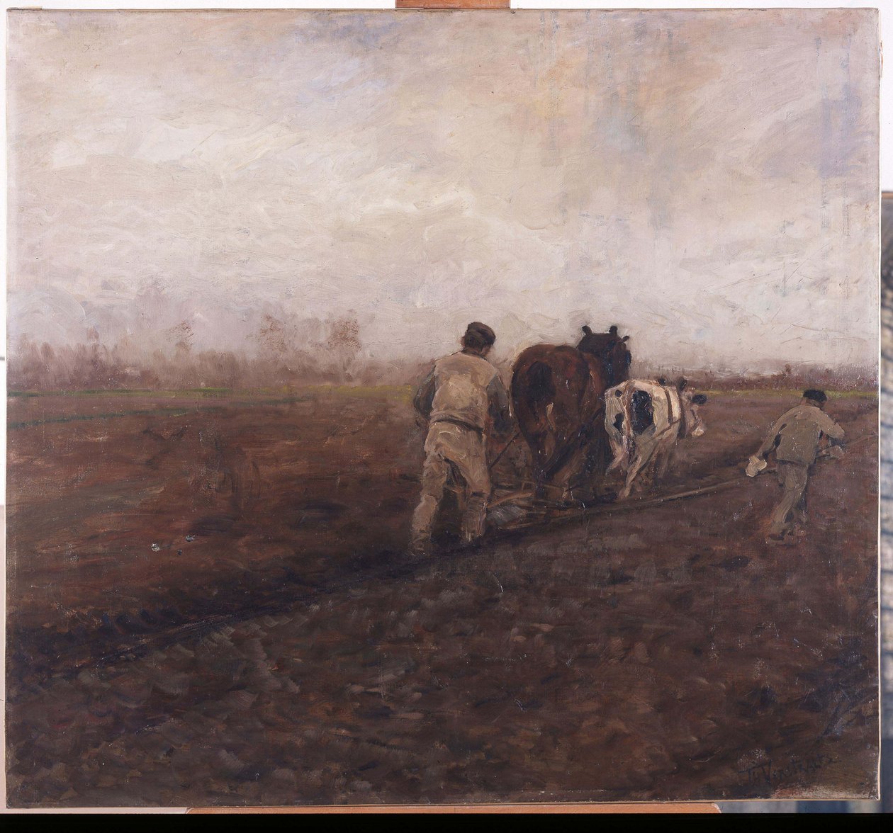 Agriculture - Theodore Verstraete